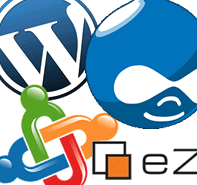 Content Management Systems